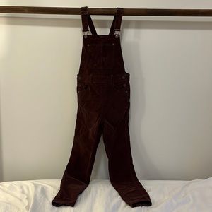 Free People We the Free Corduroy Overalls